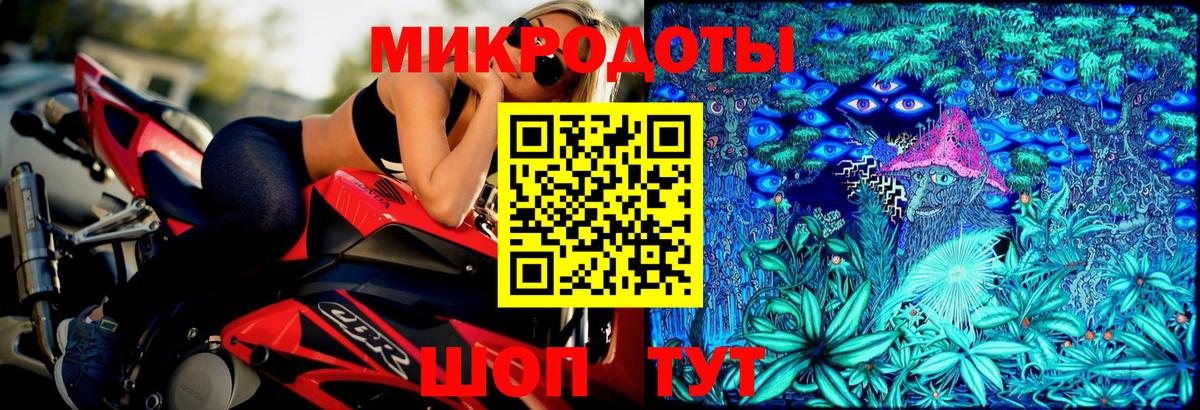 Псилоцибиновые грибы Psilocybine cubensis Малоярославец